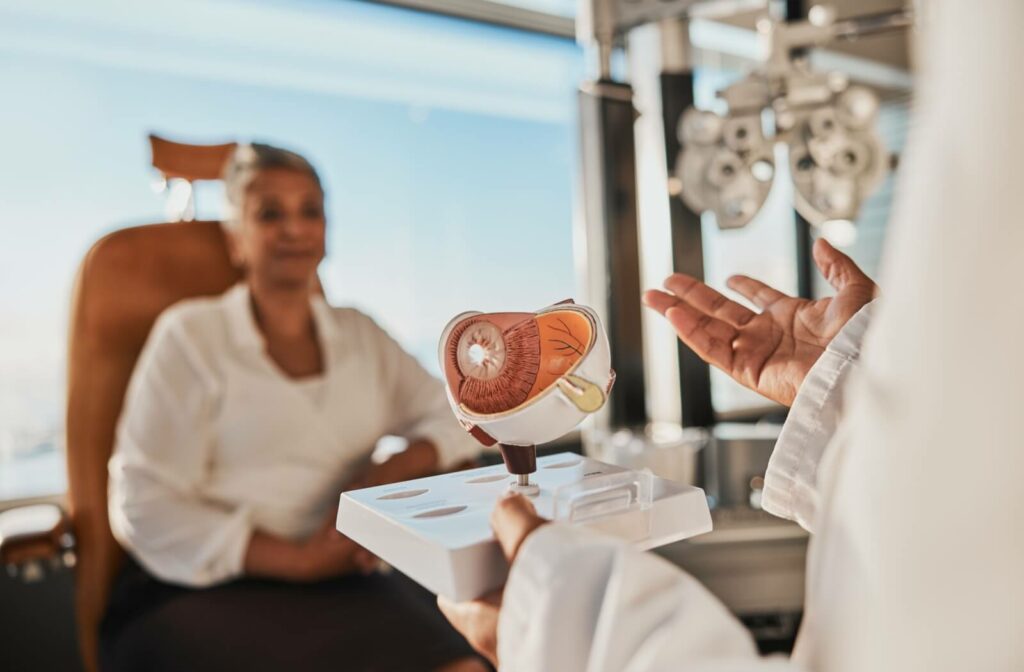 An eye doctor uses an anatomical eye model to explain how the eye's shape affects visual clarity during their patient's eye exam.