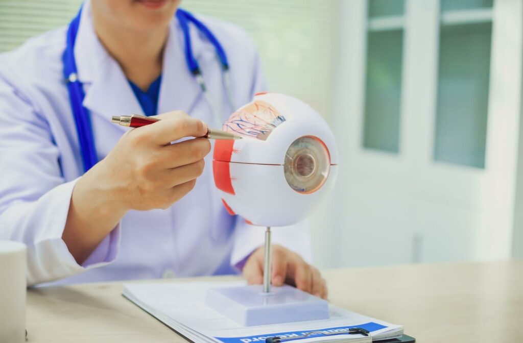 A doctor in a white coat using a pen to point at an anatomical model of a human eye on a desk.